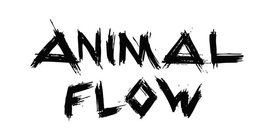 The Animal Flow logog